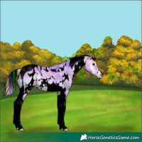 Horse Color:Void Painted Watercolor White Spotted Silver Bay Ice Onyx Tobiano