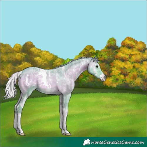 Horse Color:Watercolor White Spotted Silver Blue Onyx Ice