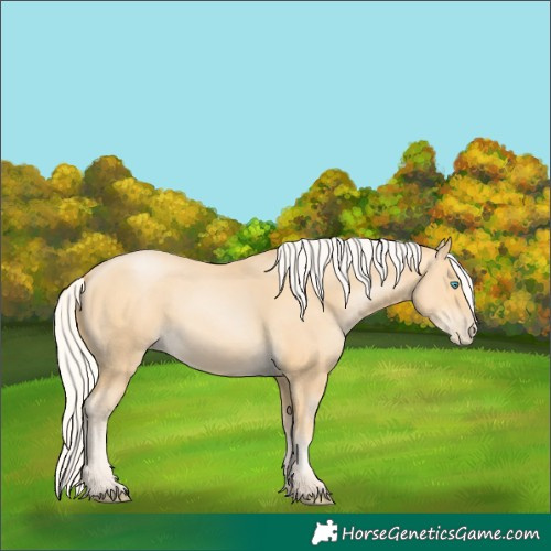 Horse Color:Silver Buckskin Pearl 