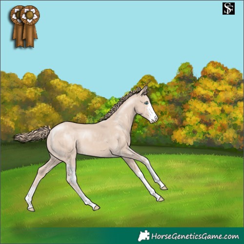 Horse Color:Smoky Creme Sabino Appaloosa 