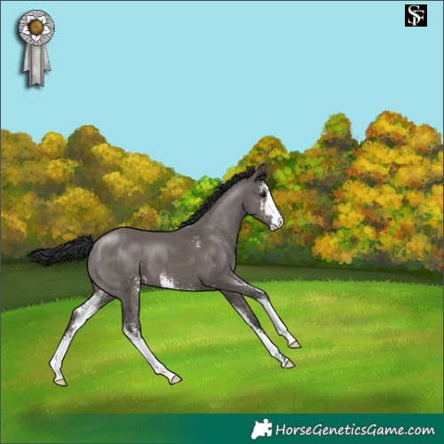 Horse Color:Grullo Sabino 
