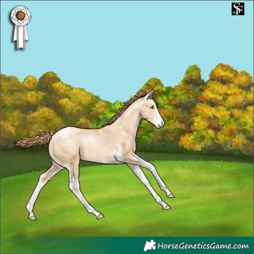 Horse Color:Smoky Black Pearl Sabino Appaloosa 