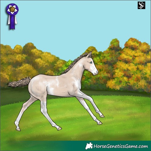 Horse Color:Smoky Creme Sabino