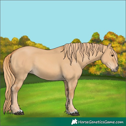 Horse Color:Red Dun 