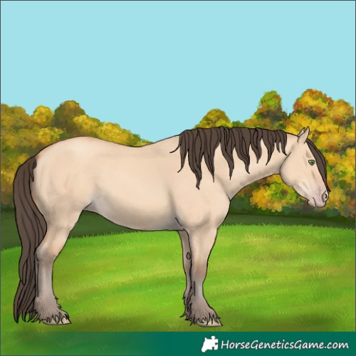Horse Color:Amber Champagne Dun 