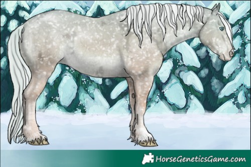 Horse Color:Watercolor Cremello Ice Appaloosa Rabicano 