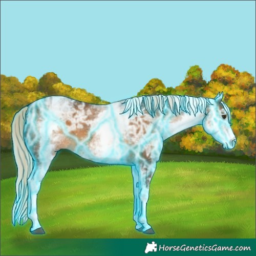 Horse Color:Thunderstruck White Spotted Chocolate Palomino Ice 