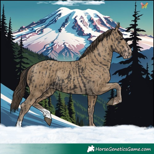 Horse Color:Smoky Black  and Classic Cream Champagne 