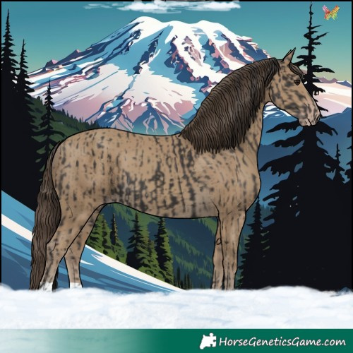 Horse Color:Smoky Black and Classic Cream Champagne
