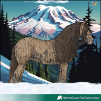 Horse Color:Smoky Black  and Classic Cream Champagne 
