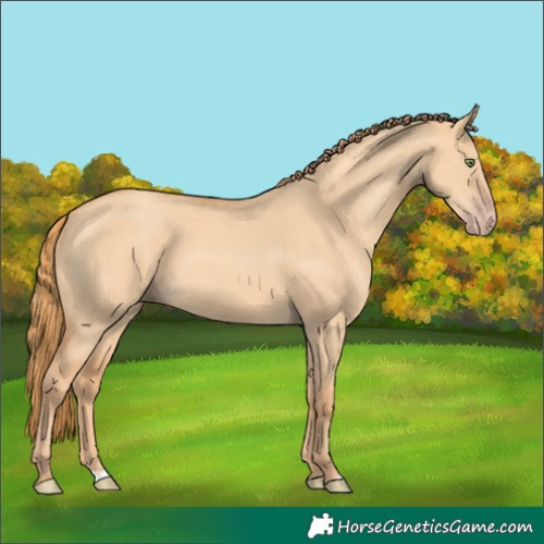 Horse Color:Gold Champagne Dun 