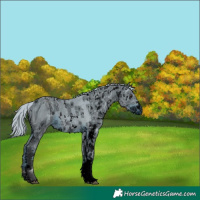 Horse Color:ERROR: UNKNOWN ANOMALY