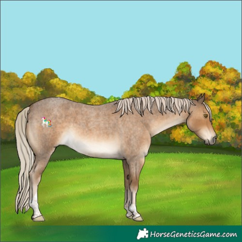 Horse Color:Chocolate Palomino Roan Tobiano 