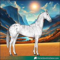 Horse Color:Gray White Spotted Black Blanket and Gray White Spotted Bay Blanket