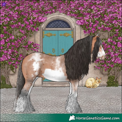 Horse Color:White Spotted Bay Sabino Frame