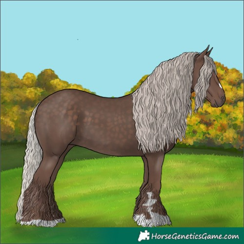 Horse Color:Silver Black