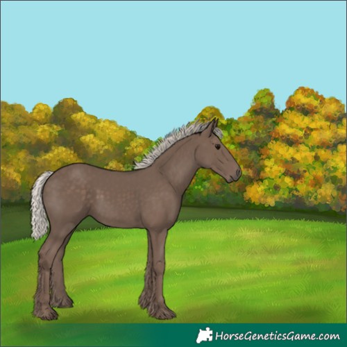 Horse Color:Silver Black 