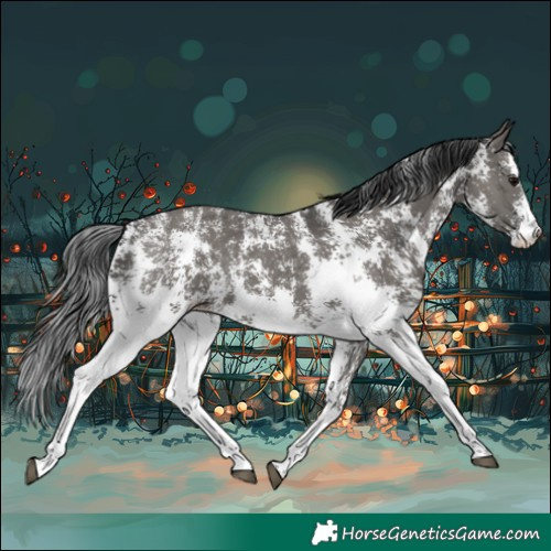 Horse Color:Grullo Sabino Rabicano
