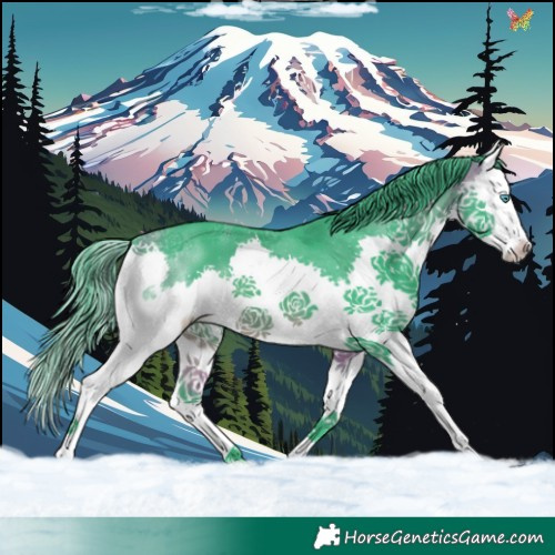 Horse Color:Watercolor Buckskin Splash 