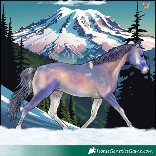 Horse Color:Watercolor Buckskin Onyx Tobiano 