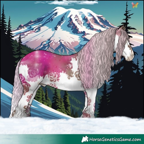 Horse Color:Silver Black Splash 