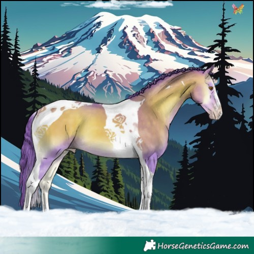 Horse Color:Watercolor Sable Cream Champagne Onyx Tobiano 