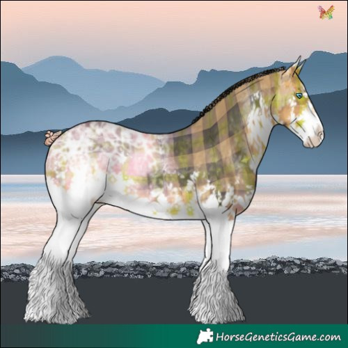 Horse Color:Plaid  White Spotted Buckskin Ice Splash 