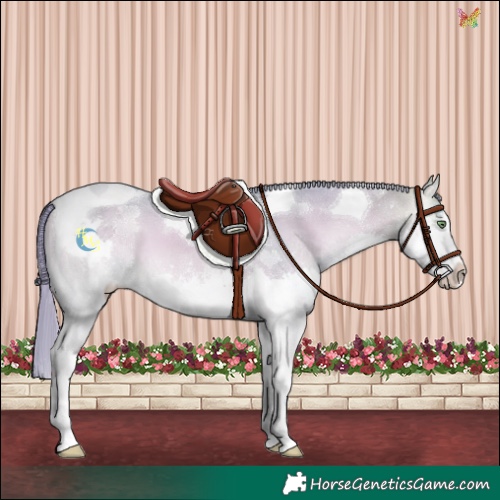 Horse Color:Watercolor Perlino Onyx Splash Tobiano 