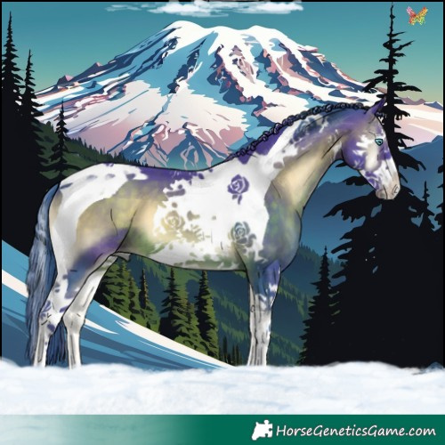 Horse Color:Watercolor Brown Onyx Splash Tobiano