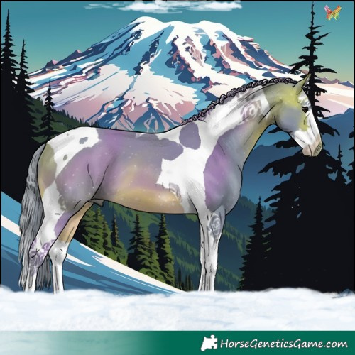 Horse Color:Watercolor Buckskin Splash Tobiano