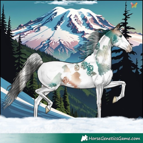Horse Color:Bay Onyx Splash Tobiano
