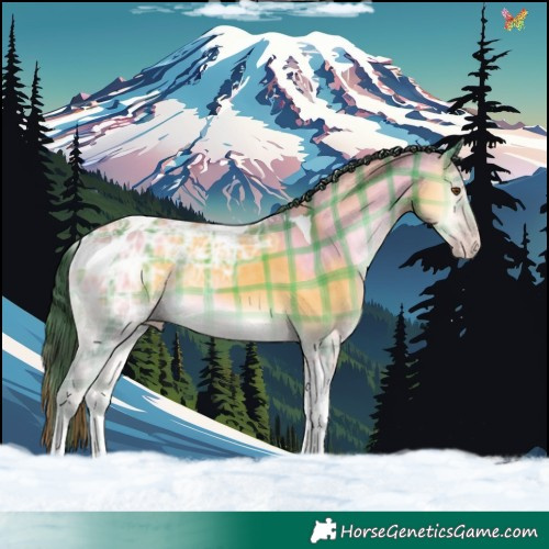 Horse Color:Plaid Sable Cream Champagne Ice Onyx Tobiano