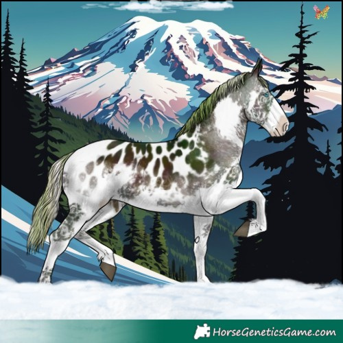 Horse Color:Watercolor Midnight Smoky Blue Onyx Splash Tobiano Appaloosa 