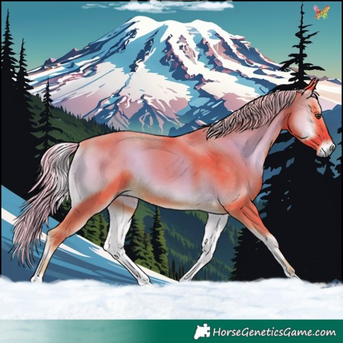 Horse Color:Watercolor Chocolate Palomino Onyx 