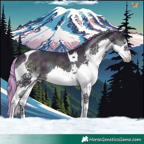 Horse Color:Platinum Watercolor Midnight Smoky Blue Onyx Pearl Splash Tobiano 