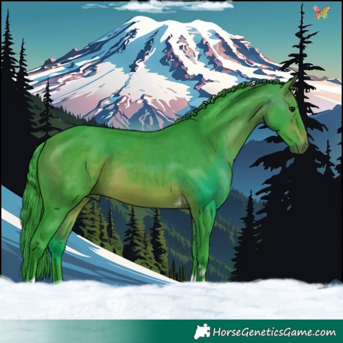 Horse Color:Watercolor Brown Tobiano