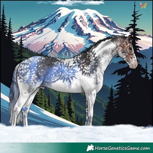 Horse Color:White Spotted Brown Tobiano 