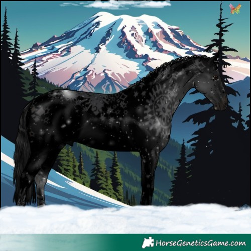 Horse Color:Void White Spotted Brown Splash 