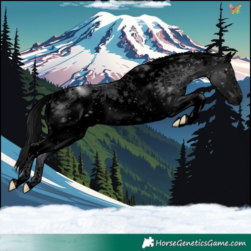 Horse Color:Void White Spotted Brown Splash 
