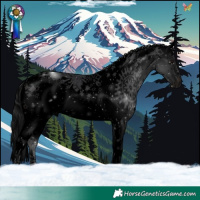 Horse Color:Void White Spotted Brown Splash 