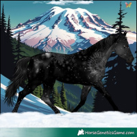 Horse Color:Void White Spotted Brown Splash