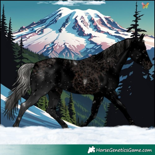 Horse Color:Void White Spotted Silver Brown Splash 