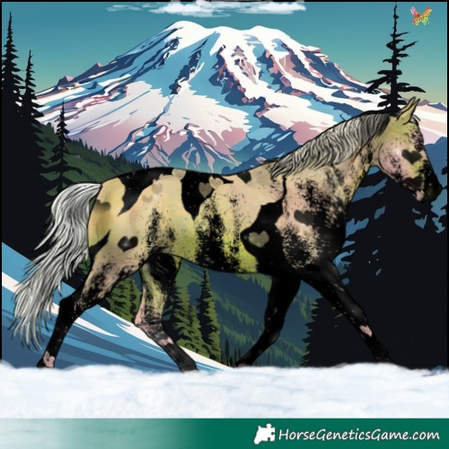 Horse Color:Void Watercolor White Spotted Silver Brown Tobiano 