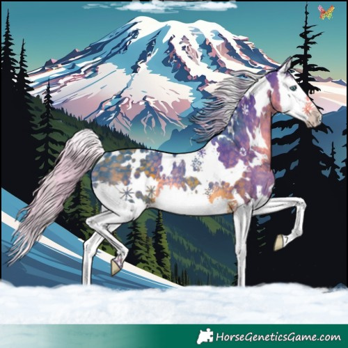 Horse Color:Watercolor White Spotted Silver Smoky Black Splash Rabicano