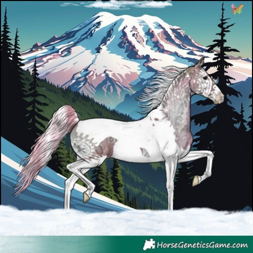 Horse Color:Watercolor Silver Brown Ice Onyx Splash Tobiano