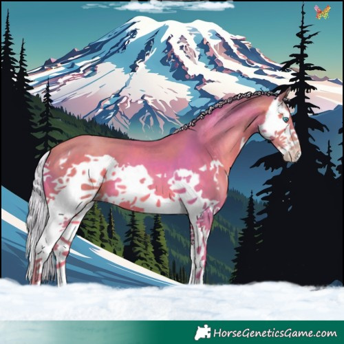 Horse Color:Watercolor Silver Sable Champagne Splash 