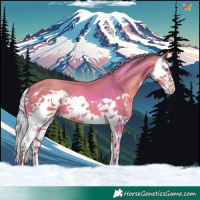 Horse Color:Watercolor Silver Sable Champagne Splash