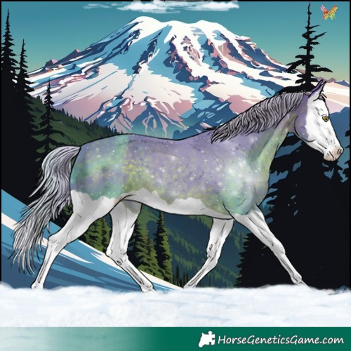 Horse Color:Watercolor Silver Brown Splash 