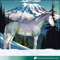 Horse Color:Watercolor Silver Brown Splash 