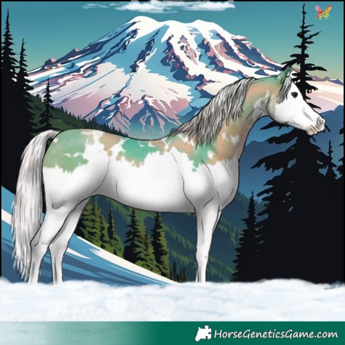 Horse Color:Watercolor White Spotted Silver Brown Splash Rabicano 